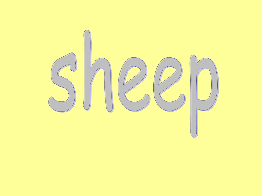 sheep